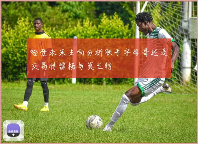 哈登未来去向分析联手字母哥还是交易特雷杨与莫兰特