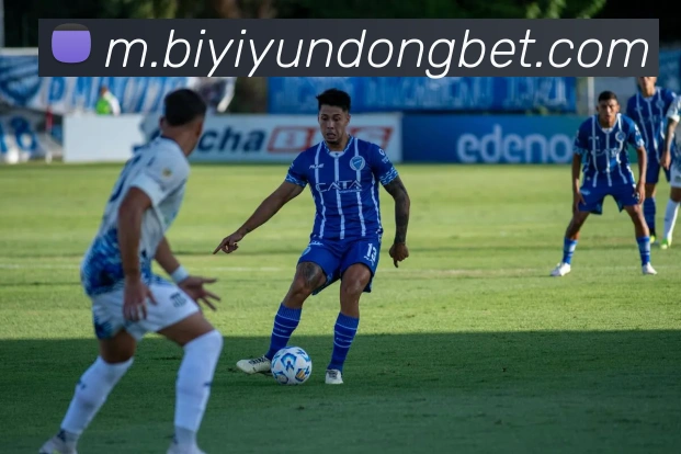 必一体育平台生态图