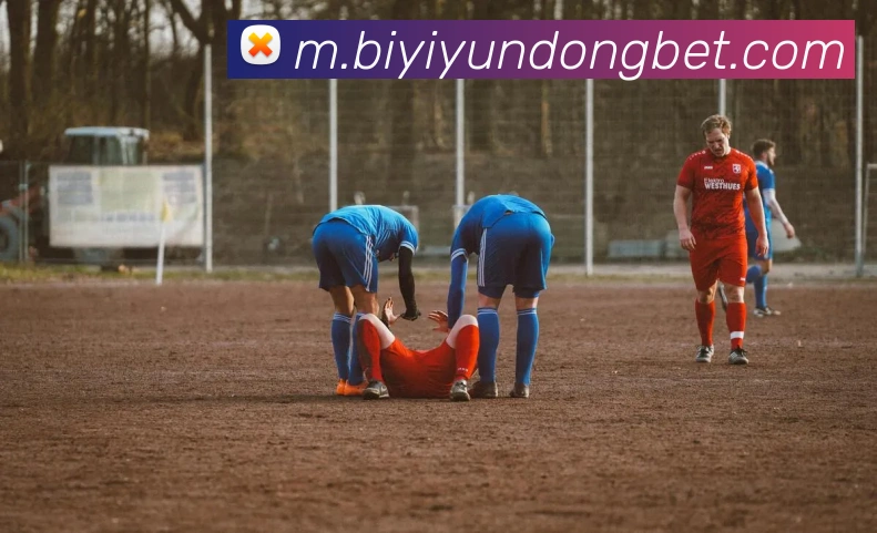 必一体育APP 封面图